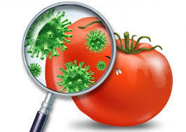 Советы эпидемиологов: профилактика кишечных инфекций в организованных коллективах!