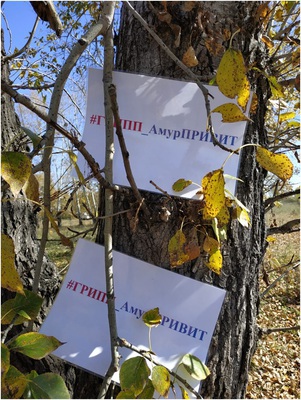 C 6.09.2018 года по 01.11.2018 проходит фотомарафон #Грипп_АмурПривит