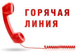О проведении «горячей линии» по фактам возможных коррупционных правонарушений со стороны гражданских служащих Управления Роспотребнадзора по Амурской области