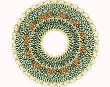 ВНИМАНИЮ ПОТРЕБИТЕЛЯ: Профилактика кори