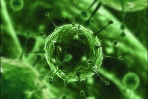 О профилактике геморрагической лихорадки с почечным синдромом (ГЛПС)