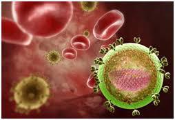 ВНИМАНИЮ ПОТРЕБИТЕЛЯ: ВИЧ-инфекция. СПИД