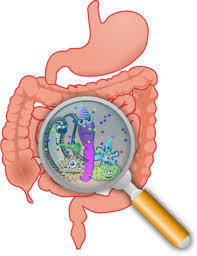 Советы эпидемиологов: профилактика кишечных инфекций вирусной этиологии!
