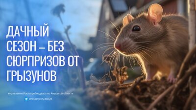 Начинаем дачный сезон без сюрпризов от грызунов