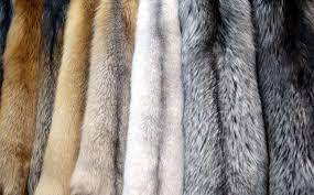 28стоп COVID-19. Оперативная информация на 21.11.2021