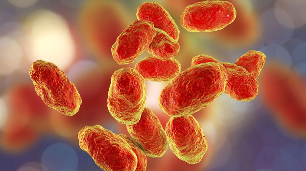 Что же это за гемофильная инфекция и почему защита от нее нужна всем детям?