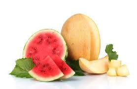 Рекомендации по покупке бахчевых культур