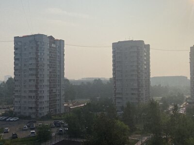 Задымление в Приамурье: ситуация стабилизируется, превышения ПДК нет