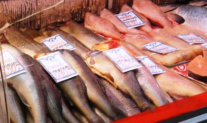 Опасная рыба (анизакидоз)