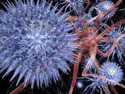 О лабораторной диагностике энтеровирусных инфекций