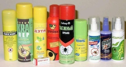 Как защитить себя от   нападения клещей!