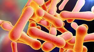 Что должны знать родители о дифтерии?