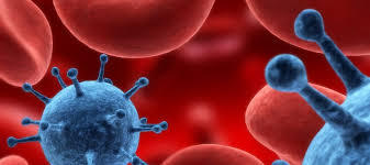 О видах исследований на новую коронавирусную инфекцию COVID-19