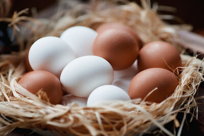 Сегодня Всемирный день яйца