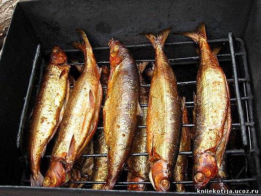 Памятка по профилактике ботулизма