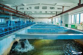 О приостановке работы водозабора «Амурский» и проведении дополнительных санитарно-противоэпидемических (профилактических) мероприятий