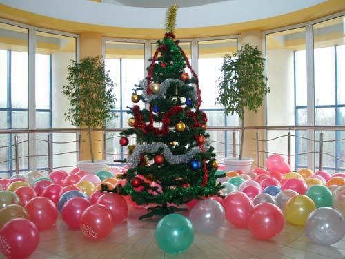 Обеспечение санитарно-эпидемиологического благополучия в период проведения новогодних мероприятий