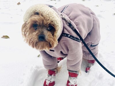 Как избежать обморожения