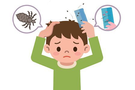 О профилактике педикулеза