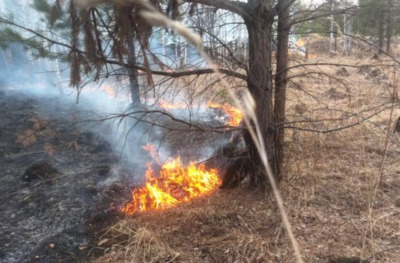 В условиях ЧС из-за лесных пожаров Роспотребнадзор держит на контроле качество атмосферного воздуха 