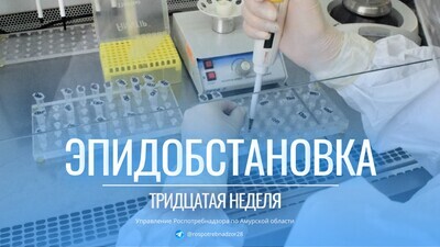 Об эпидемиологической обстановке в Амурской области за период с 22.07.2024 по 28.07.2024 г.