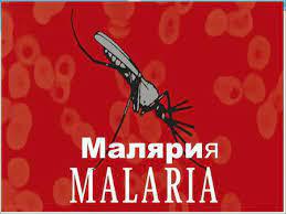 Из истории эпидемиологии: Малярия