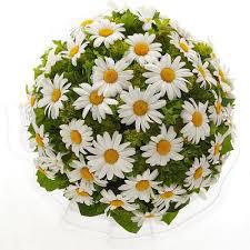 24 марта - Всемирный день борьбы с туберкулезом