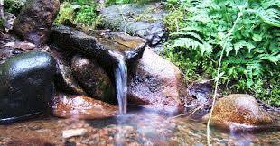 О качестве воды в родниках