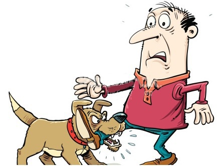 Всемирный день борьбы против бешенства- World Rabies