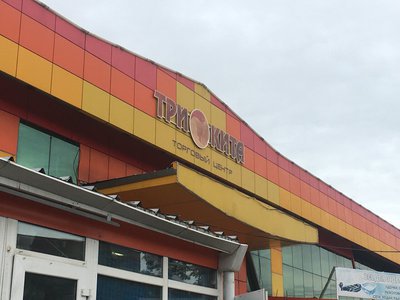 На 60 суток приостановлена деятельность торгового центра «Три кита»