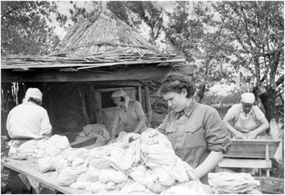 Деятельность санитарно-эпидемиологической службы Амурской области в период Великой Отечественной войны 1941-1945 годов