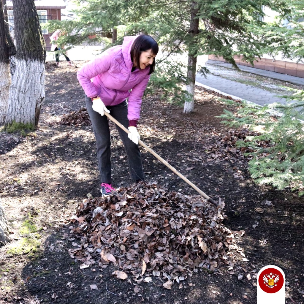 Копия Копия черемша (1).jpg