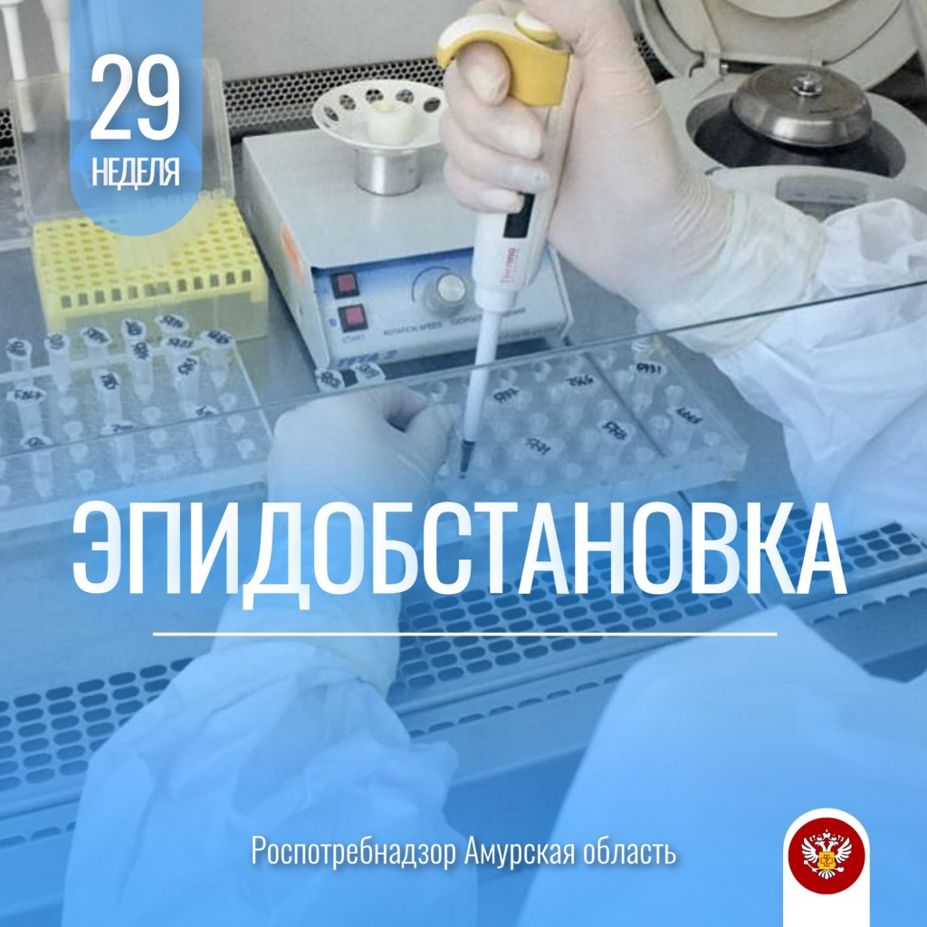 29 эпид.jpg