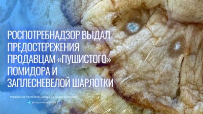 Роспотребнадзор выдал предостережения продавцам продуктов с плесенью 