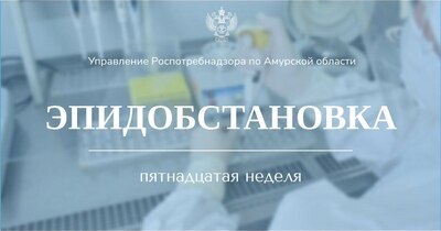 Об эпидемиологической обстановке в Амурской области за период с 8.04.2024 по 14.04.2024 г.