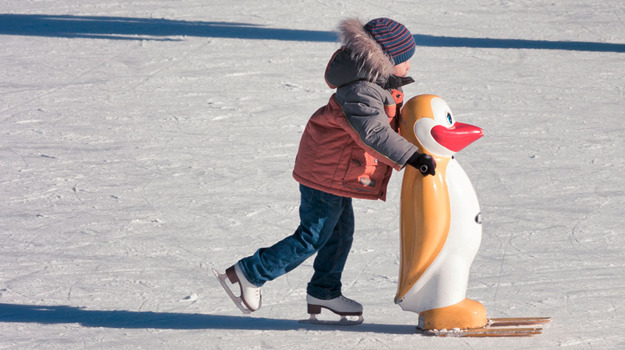 Идём на каток!