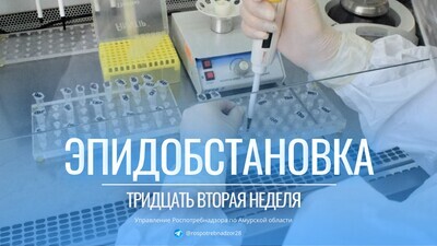 Об эпидемиологической обстановке в Амурской области за период с 05.08.2024 по 11.08.2024 г.