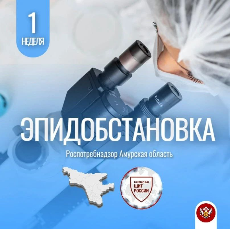 Без имени.png