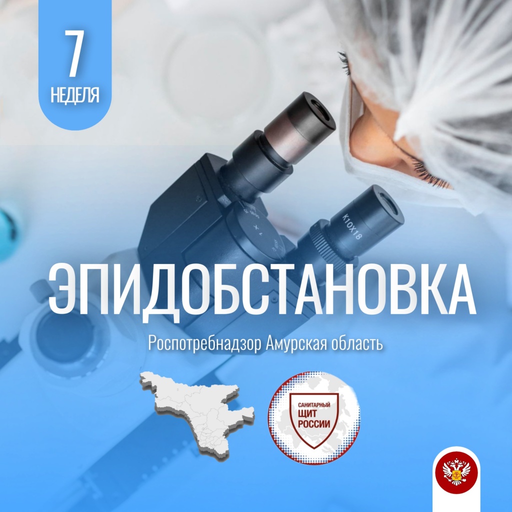 эпид 7.jpg эпид 7.jpg