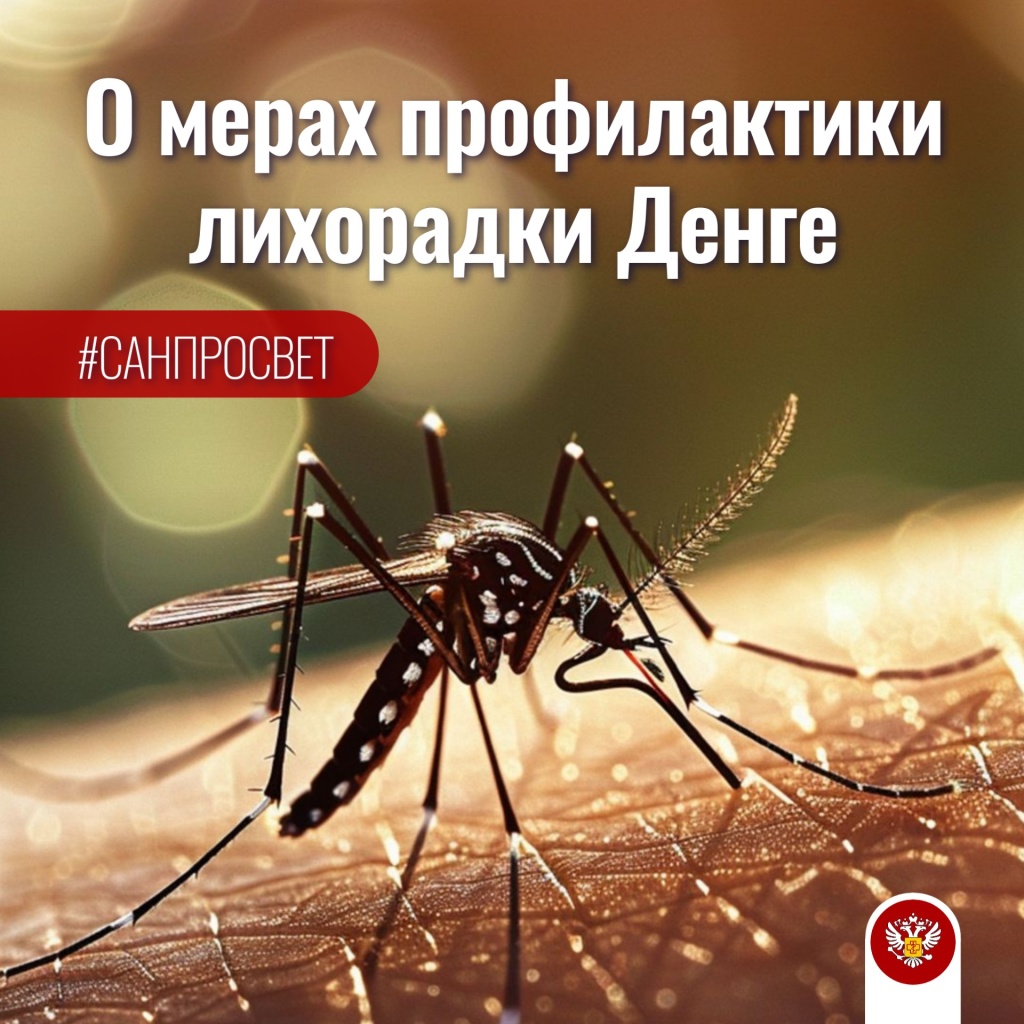 денге 30 01.jpg денге 30 01.jpg